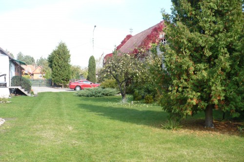 Działka Białowieża