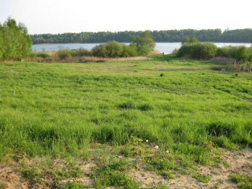 Działka Kierzliny