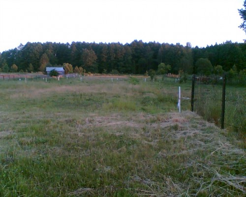 Działka Białowieża