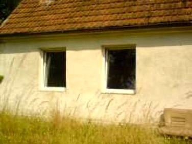 Dom Niwica