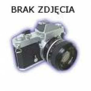 Działka Sorkwity