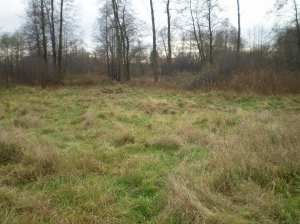 Działka Bucze