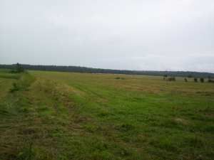 Działka Wierciszewo