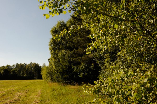 Działka Bartoszówka