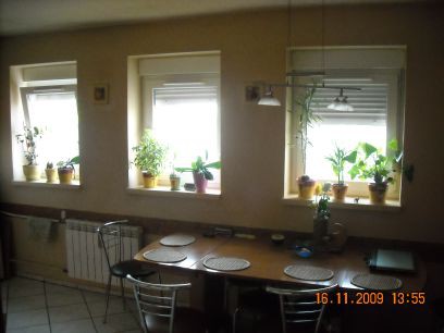 Mieszkanie Legnica