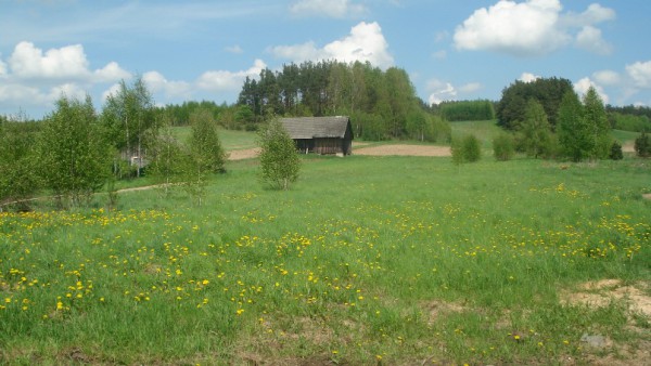 Działka Studzianki