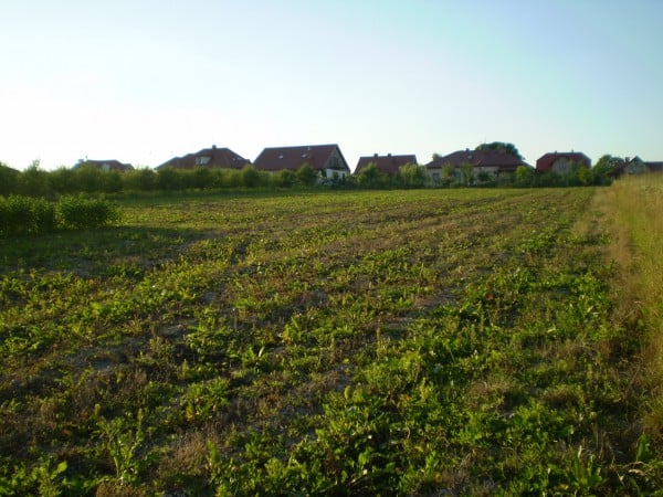 Działka Kraśnik