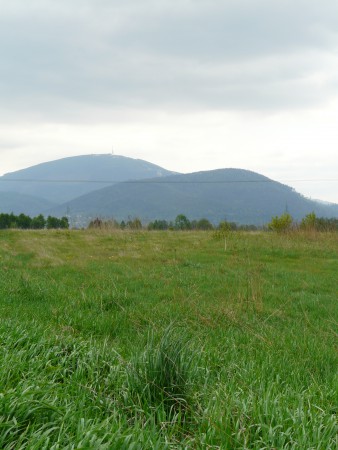 Działka Wilkowice