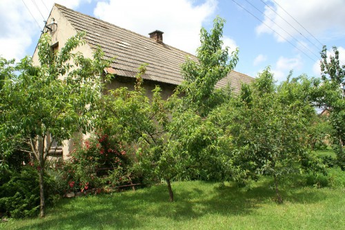 Działka Wilkowiecko