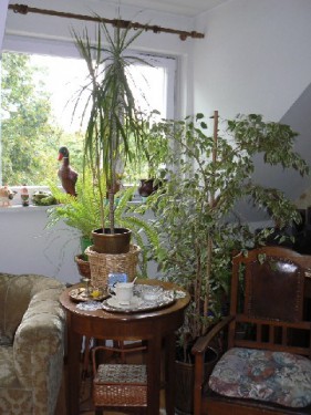Mieszkanie Kostrzyn nad Odrą