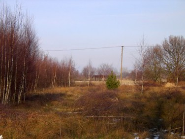 Działka Smołdziński Las