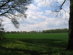 Działka Żabice