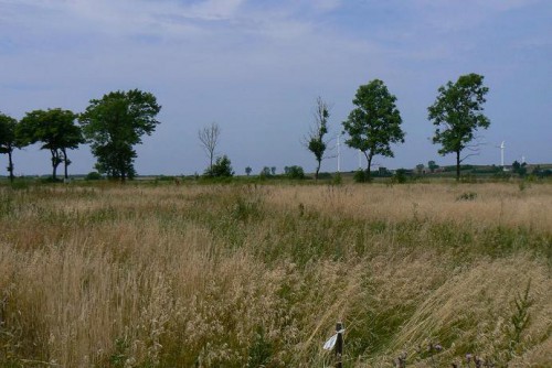 Działka Darłowo