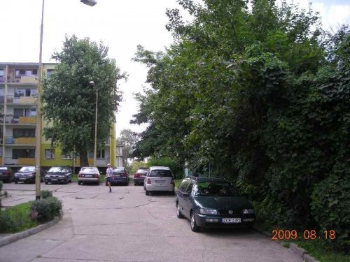 Działka Gryfino