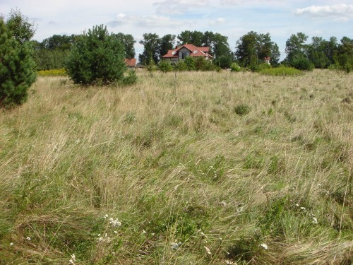 Działka Nieporęt