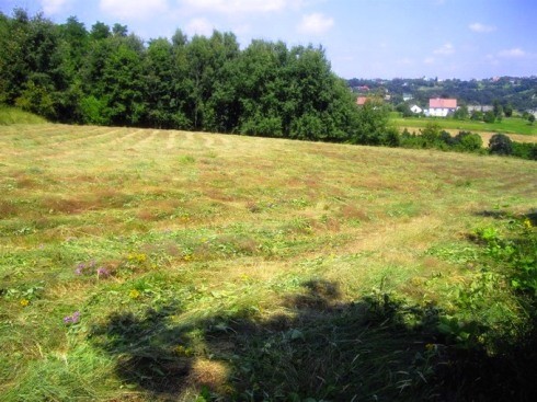 Działka Jankówka