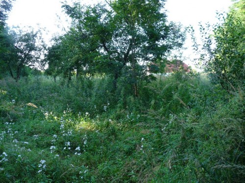Działka Żabice