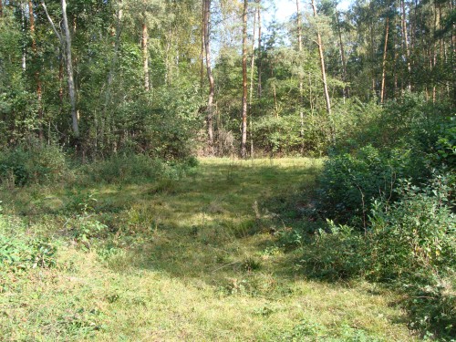 Działka Grabina