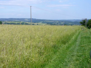 Działka budowlana Zbydniów