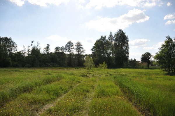 Działka budowlana Radom