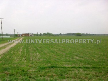 Działka Wólka Bachańska