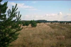 Działka Szczytno
