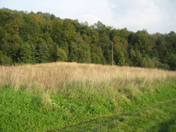 Działka Konieczkowa