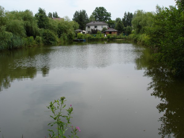 Dom Zalbki