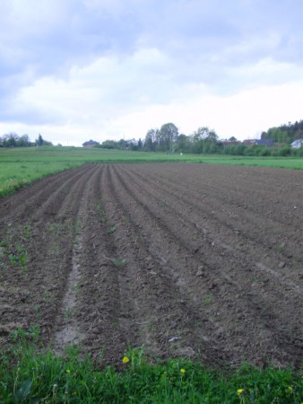 Działka Nowy Sącz