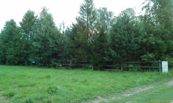 Działka Siemiany