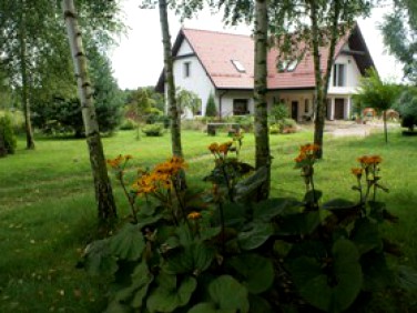 Dom Kowiesy