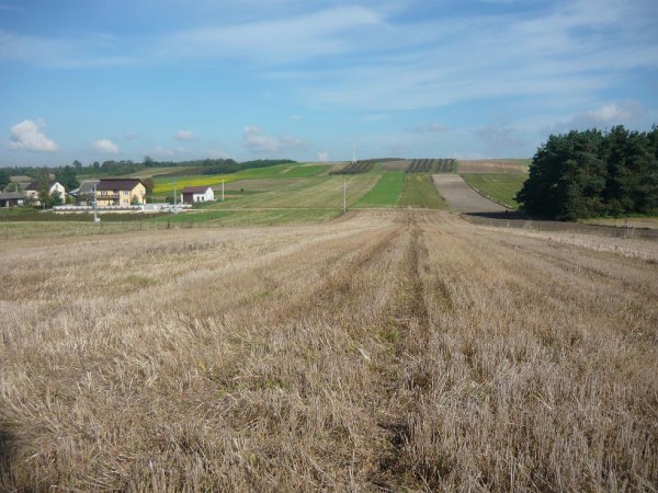 Działka Smogorzów