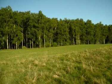 Działka Stargard Szczeciński