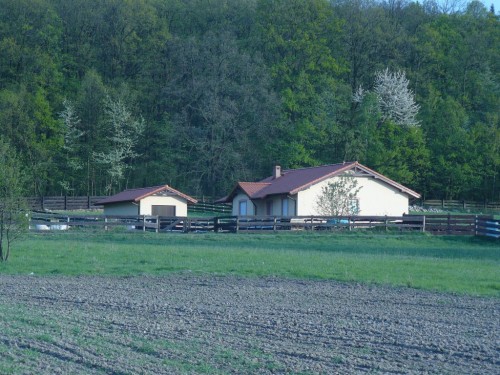 Dom Morzęcin Mały