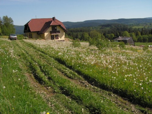 Działka Szczytna