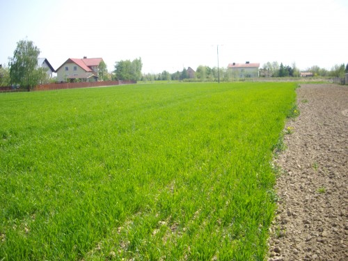 Działka Zamość