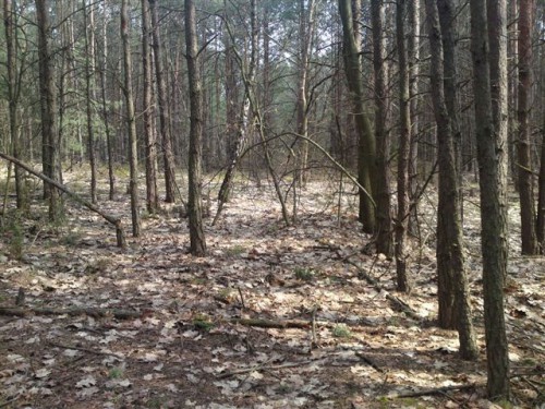 Działka Wołomin