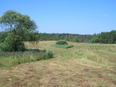 Działka Zastrużne