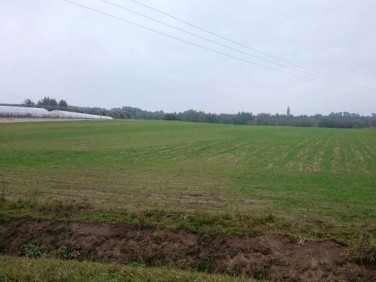 Działka rolna Trzebuska