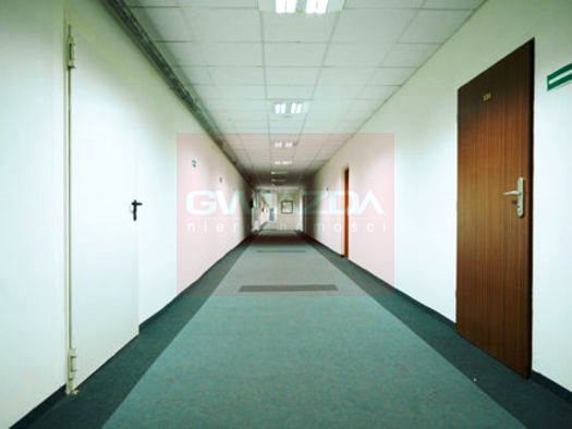 Budynek użytkowy Warszawa wynajem