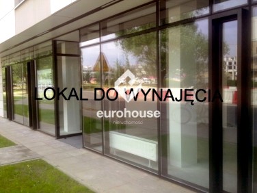 Lokal Warszawa