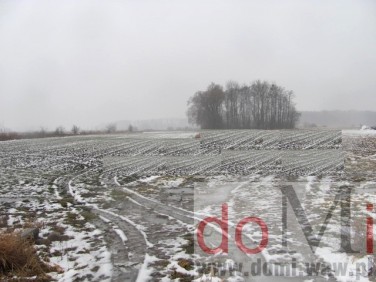 Działka rolna Nowe Izdebno