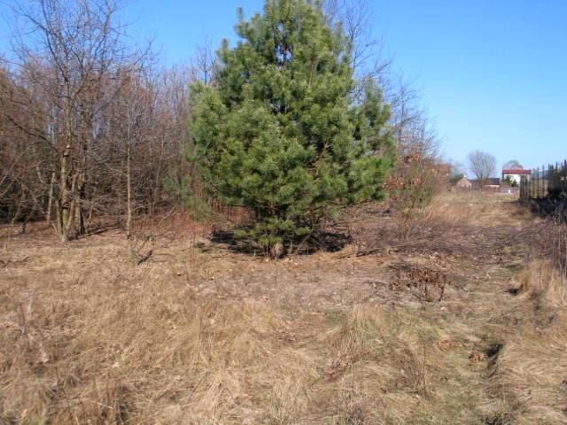 Działka budowlana Warszawa