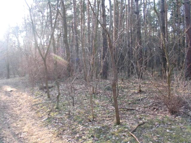 Działka budowlana Warszawa