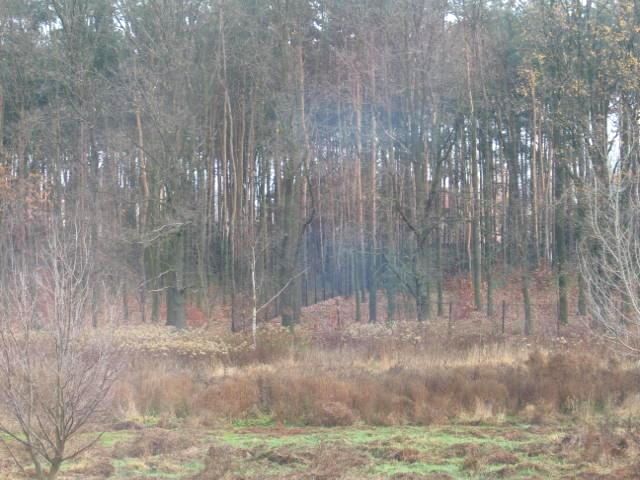 Działka budowlana Warszawa