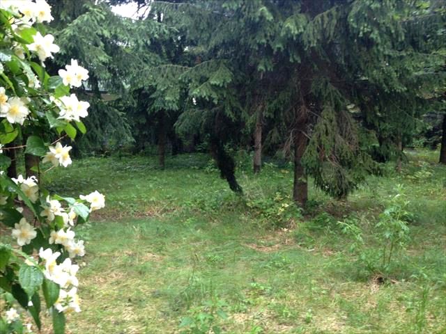 Działka budowlana Warszawa