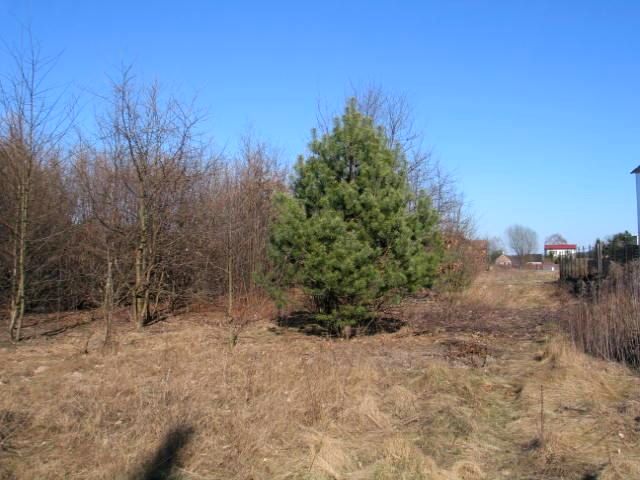 Działka budowlana Warszawa