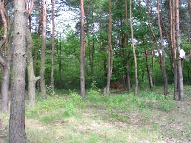 Działka budowlana Warszawa