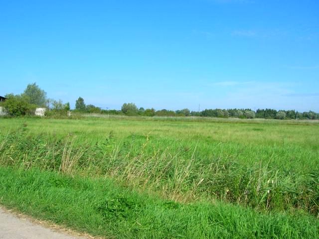 Działka przemysłowa Bogatka