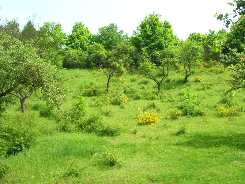 Działka budowlana Gdańsk